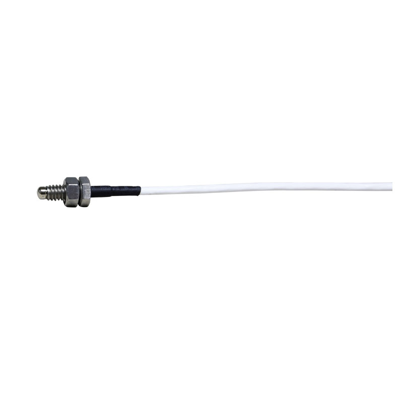 If you can't see the picture, you can use the Rixen website search to find out the"GP-08 Temperature Probe".